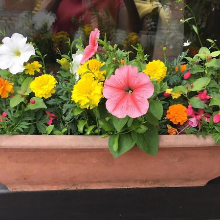 Feversham Lodge Guest House يورك المظهر الخارجي الصورة